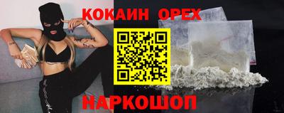 гашик Гусев