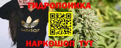 гашик Гусев
