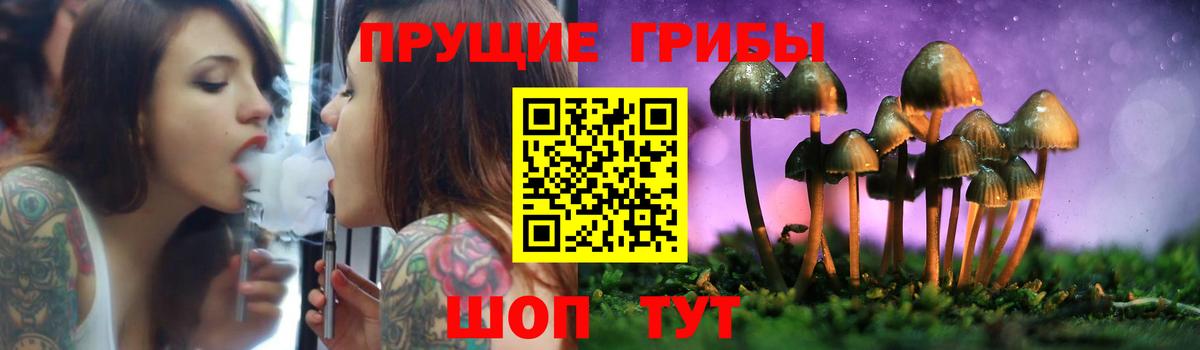Псилоцибиновые грибы Psilocybine cubensis Грозный